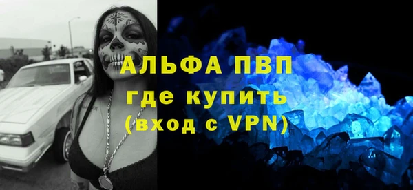 гашик Алексин