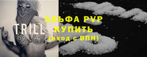 гидра Каменногорск