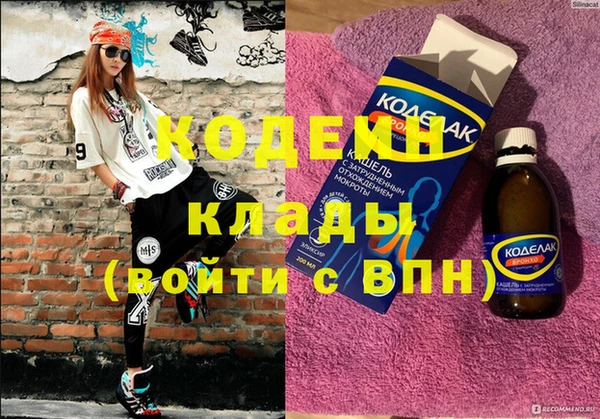 гашик Алексин