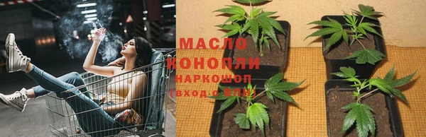 гашик Алексин