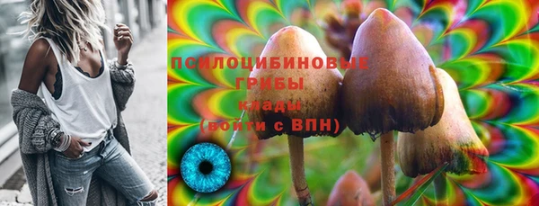 гашик Алексин