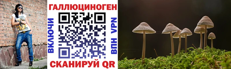 Псилоцибиновые грибы мухоморы  сколько стоит  Курчалой 